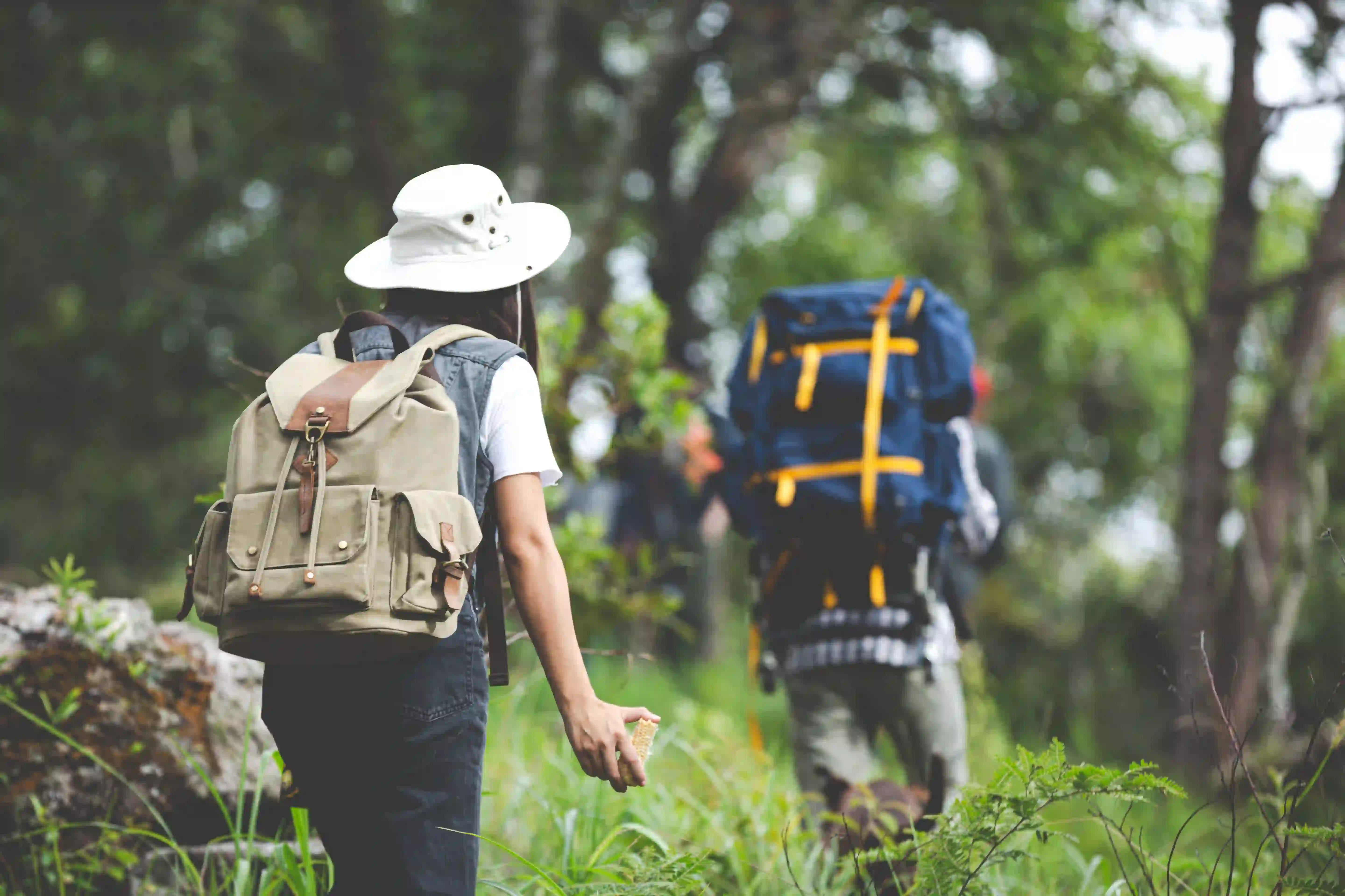 Hiking