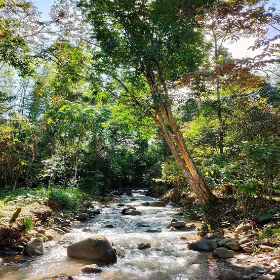 PONOMPUHUYAN SINOMPURUAN CAMPSITE
